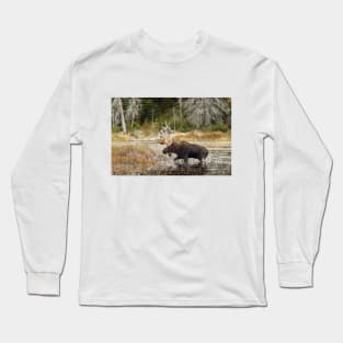 Bull moose - Algonquin Park Long Sleeve T-Shirt